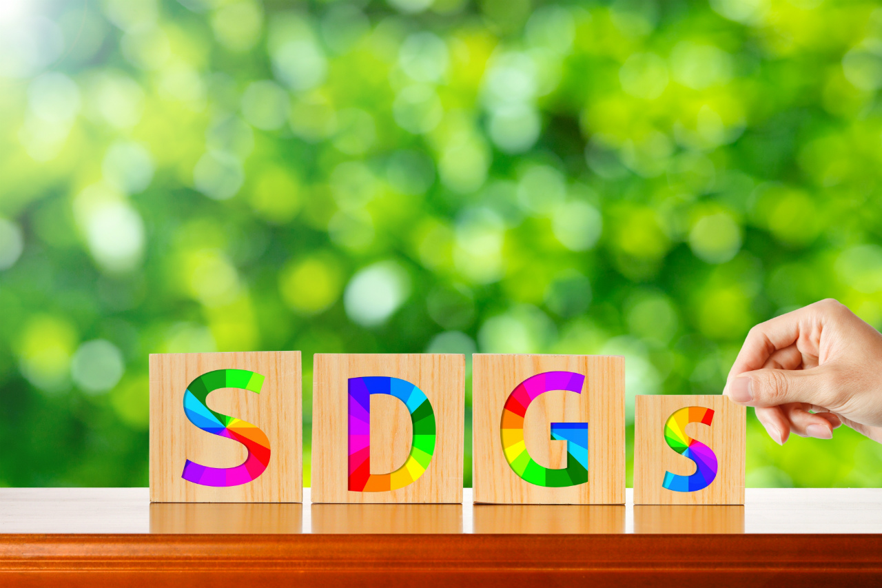 CSTの特徴：SDGsへの取組