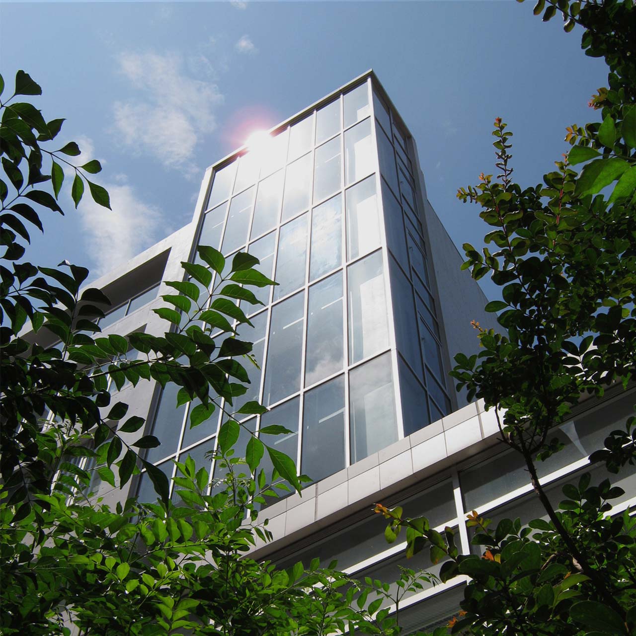 会社紹介：会社概要