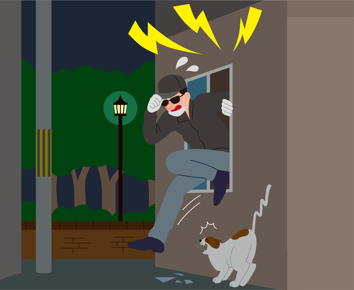 窃盗犯・強盗犯を撃退